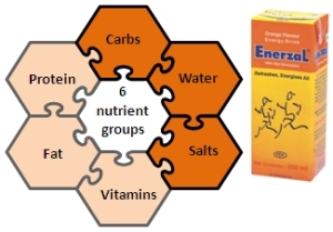 Can you spot the nutrient groups in Enerzal